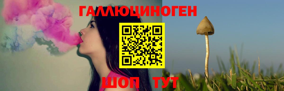 даркнет сайт  Галлюциногенные грибы ЛСД  Вход с VPN  Куйбышев 